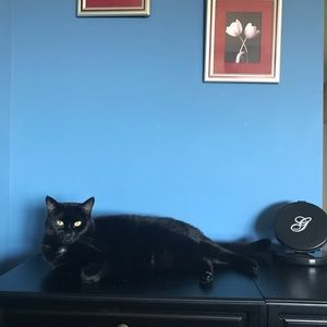 Meet your Posher, Gabrielle